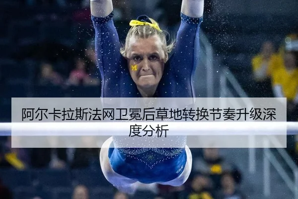 a-er-ka-la-si-fa-wang-wei-mian-hou-cao-di-zhuan-huan-jie-zou-sheng-ji-shen-du-fen-xi-2-439.jpg